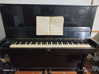 Pionina sotiladi