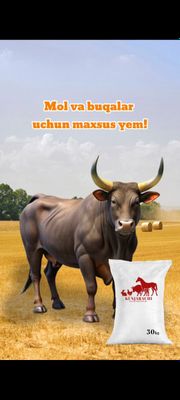 Maxsus Premium yem Kunjarachi