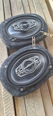 Pioneer kalonka 800 w lik