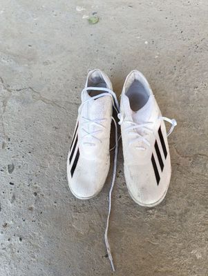Adidas x arginal