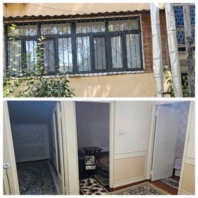 Toshkent shaxar Qora qamish 2/4.