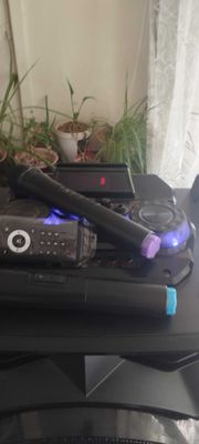 Professional battery speaker