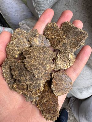 Arzon pista kunjara
