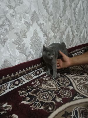 Samarqand viloyati Oqdaryo tumani