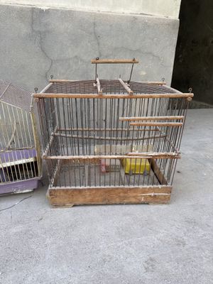 Qafas xammasi ozi qarab kelishtirip bervorama
