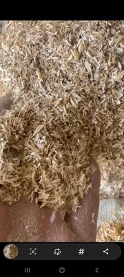Подстилка для курятника из мякины