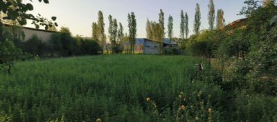 Samarqand viloyati Jomboy tumani uchastka