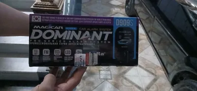 Dominat orginali yangi