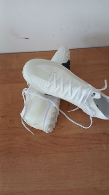 airzoom sarakanoshka