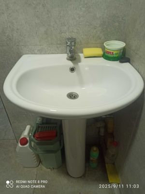 Продается раковина тюльпан