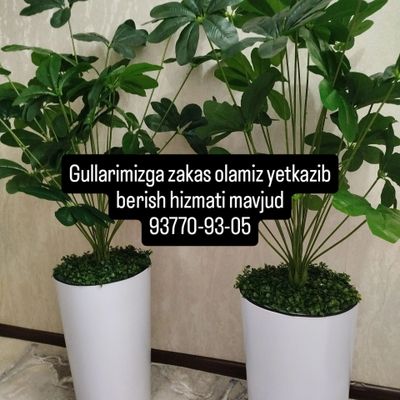bizda turli xil suniy gullar mavjud