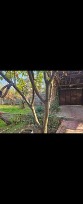 Аренда 2× комнатный в Яшнабадском районе, Джаркурганск