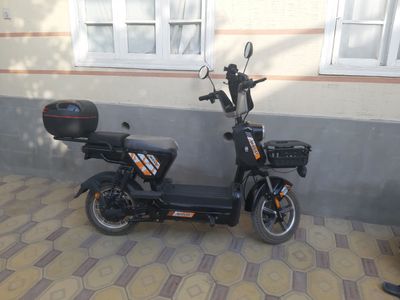 skutr