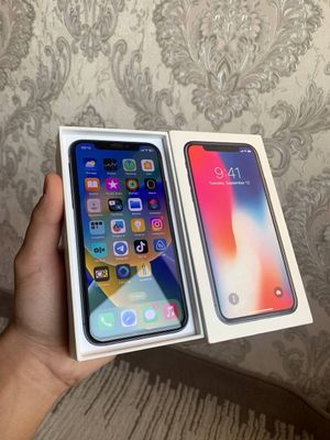 iPhone X