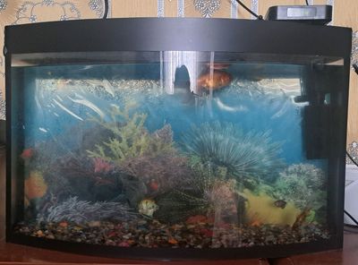 akvarium