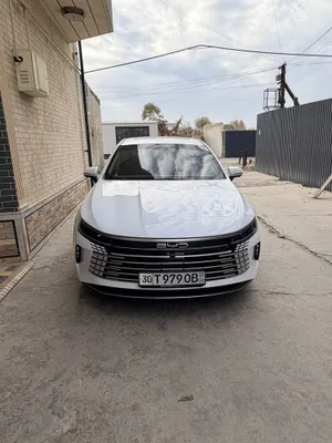 BYD Chazor 2 позиция