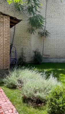 Сдается в аренду дом