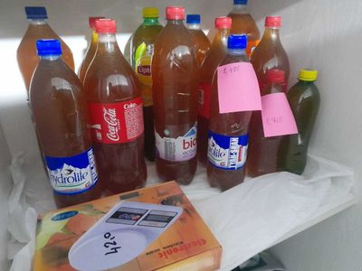 Toza asal 100 foiz javob