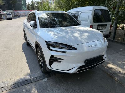 BYD CHEMPION 605 km Fuull srochno 2024