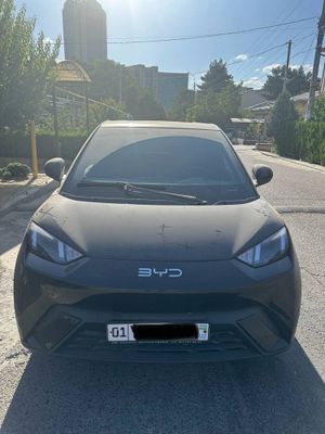 Byd seagull 2024