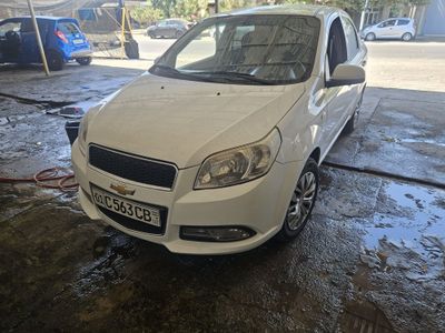 Sirosha sotlad neksiya 3 mixanka gaz bor