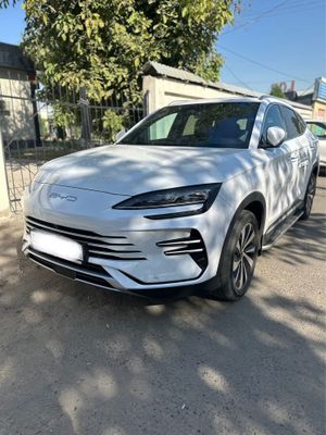 Byd champion gibrid full 150 km