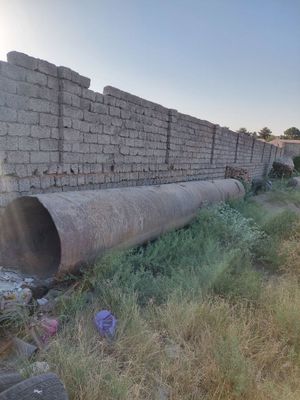 Turba lomkis sotiladi