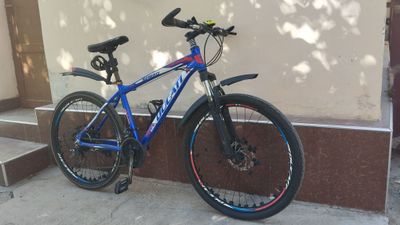 Velosiped idealniy skorli
