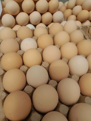 нукус майек 36.000сум
