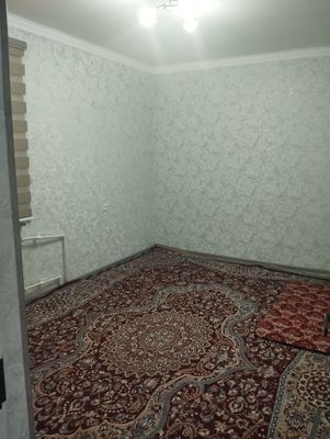 5/3 gilam holati yaxshi