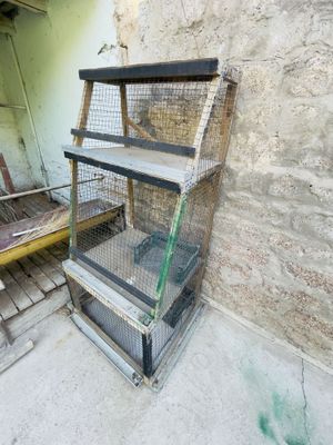 Tovuq katak , jo’ja , quyon , dakan xoroz uchun катак