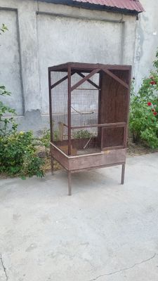 Тути ини сотилади
