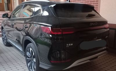 Byd champion 24/25 restayl