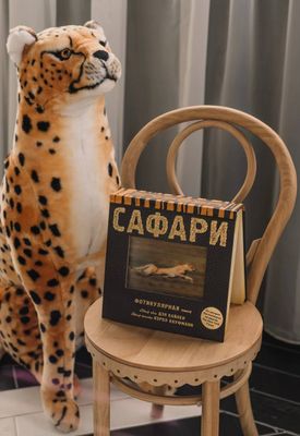 Книга «Сафари» — Д. Кайнен, К. Кауфманн (Photicular)