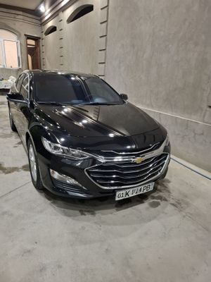Malibu 2 Premier 2022