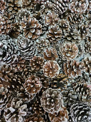 шишки и другое для рукоделия