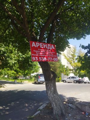 Arenda uchastka 3 sotih