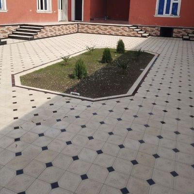 Burchatka terish hizmati Toshkent buylab