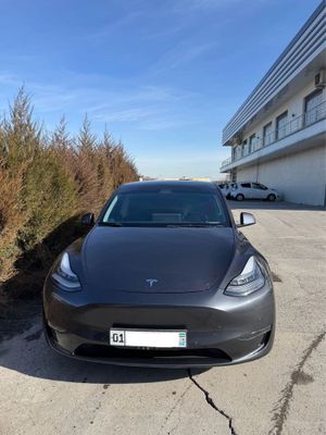 Tesla Model Y, Dual Motor 2021