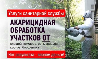 Дезинсекция, уничтожение тараканов, клопов, блох | Гарантия Скидки O-1