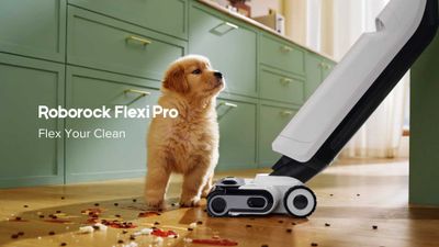 Roborock Flexi Pro global