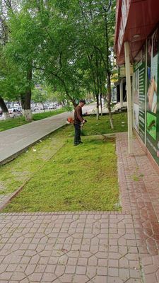 Ут уриш хизмати арзон ва сифатли