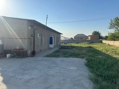 Hovli sotiladi 11 sutik. Yashashga tayyor