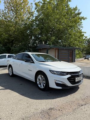 Malibu XL 2023yil Oq toza
