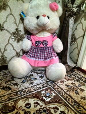 Tedy_ ayiq holati yengi