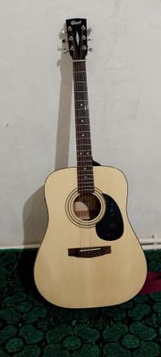 Gitara cort soriladi