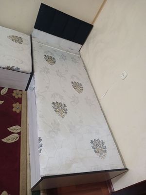 Kravat sotiladi yangidak turipti