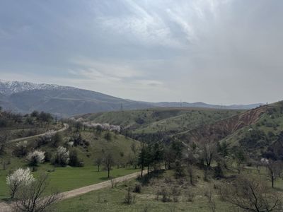 Продается зона отдыха Чарвак, Бочка рядом #ZOR