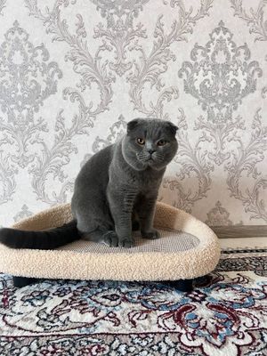 только для вязки