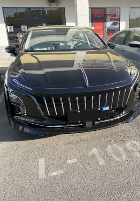 HONGQI E-QM5 pilus